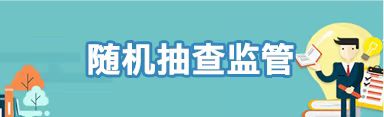 随机抽查监管